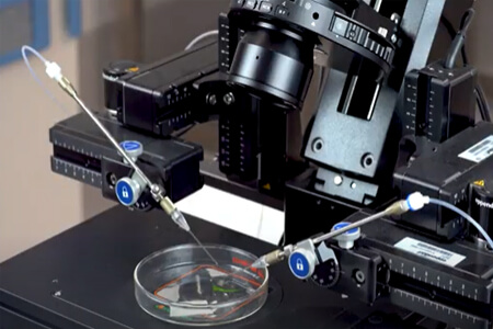 Picture of a sophisticated microscope representing the high-tech capabilities of an IVF fertility center. The picture shows a black microscope, with a petri dish in front of it.